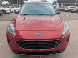 Used 2022 Ford Escape SE w/ SE Sport Appearance Package image 4