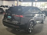 Used 2021 Lexus NX 300 AWD w/ Luxury Package image 4