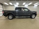 Used 2013 Ford F150 XLT w/ Luxury Equipment Group image 5