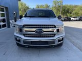 Used 2019 Ford F150 XLT w/ Equipment Group 302A Luxury image 2