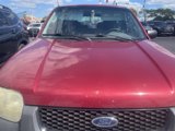 Used 2003 Ford Escape XLS image 3