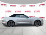 Certified 2022 Ford Mustang Premium image 2