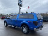 Used 2014 Ford F150 XLT image 3
