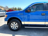 Used 2010 Ford F150 XLT image 3