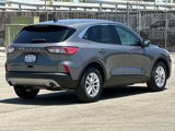 Certified 2022 Ford Escape SE image 4