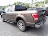Used 2017 Ford F150 XLT w/ Equipment Group 302A Luxury image 3
