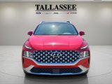 Used 2023 Hyundai Santa Fe SEL w/ Premium Package image 2
