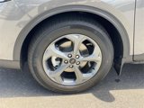New 2025 Ford Escape ST-Line w/ Equipment Group 301A image 5