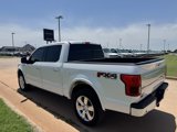 Used 2019 Ford F150 Platinum w/ Equipment Group 701A Luxury image 5