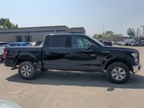 Certified 2016 Ford F150 4x4 SuperCrew image 4