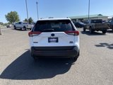 Used 2021 Toyota RAV4 XLE w/ XLE Grade Weather Package image 4