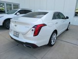 Used 2021 Cadillac CT4 Luxury w/ Sun And Sound Package image 3