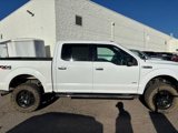Used 2017 Ford F150 XLT w/ Equipment Group 302A Luxury image 4