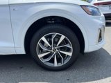 Used 2023 Audi Q5 2.0T Premium Plus w/ Premium Plus Package image 6