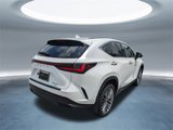Certified 2022 Lexus NX 350 AWD image 4