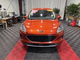Used 2020 Ford Escape SE image 2