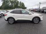 Certified 2020 Ford Escape SEL image 6