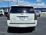 Used 2020 Cadillac Escalade Luxury image 6