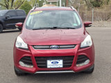 Used 2014 Ford Escape Titanium image 2