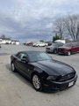 Used 2014 Ford Mustang Premium w/ Equipment Group 202A image 5
