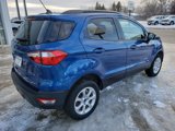 Used 2020 Ford EcoSport SE image 5