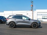 Used 2021 Ford Escape SE image 3