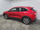 Used 2022 Ford Escape SEL image 5