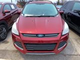 Used 2014 Ford Escape SE image 3