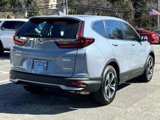 Certified 2022 Honda CR-V Special Edition image 5