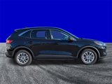 Certified 2022 Ford Escape SE image 3