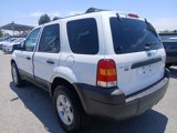 Used 2006 Ford Escape XLT image 5