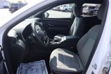 Used 2022 Hyundai Santa Cruz SEL image 5