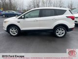Used 2019 Ford Escape SE image 6