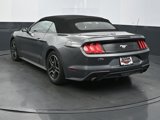Used 2022 Ford Mustang Premium image 4