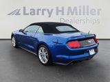 Used 2017 Ford Mustang Premium w/ Pony Package image 4