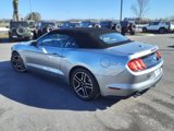 Certified 2022 Ford Mustang Premium image 5