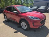 Certified 2022 Ford Escape SE w/ Convenience Package image 3