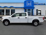 Used 2020 Ford F150 XL w/ Equipment Group 101A Mid image 3