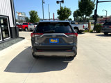 Used 2019 Toyota RAV4 Limited image 5