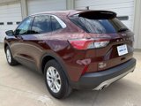 Used 2021 Ford Escape SE image 5