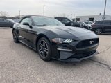Certified 2022 Ford Mustang Premium image 4