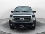 Used 2011 Ford F150 Platinum image 2