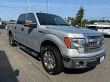 Used 2013 Ford F150 XLT w/ Luxury Equipment Group image 2