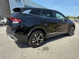 Used 2023 Kia Sportage EX image 3