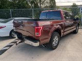 Used 2016 Ford F150 XLT w/ Equipment Group 302A Luxury image 2