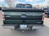 Used 2014 Ford F150 XLT w/ XLT Chrome Package image 4