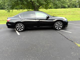 Used 2016 Honda Accord EX image 2
