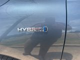 Used 2021 Toyota Venza XLE w/ Softex Package image 3