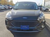 Certified 2022 Ford Escape SE image 3
