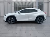Used 2021 Lexus UX 200 w/ Premium Package image 5
